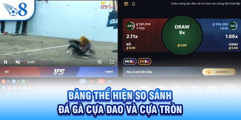 Đá Gà Cựa Dao - Trận Đấu Phân Thắng Bại Chỉ Trong Vài Giây 4 Bảng thể hiện so sánh đá gà cựa dao và cựa tròn