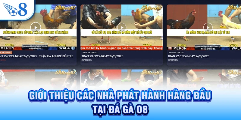 Giới thiệu các nhà phát hành hàng đầu tại đá gà O8